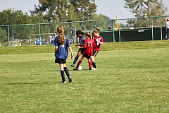 IMG_7994.jpg