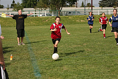 IMG_8034.jpg