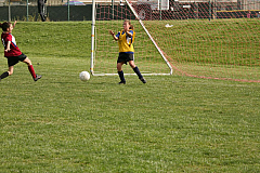 IMG_8036.jpg