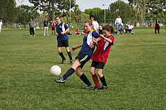 IMG_8047.jpg