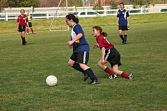 IMG_8064.jpg