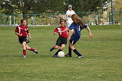 IMG_8101.jpg