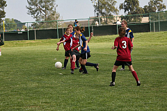 IMG_8135.jpg