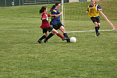 IMG_8145.jpg