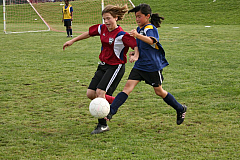 IMG_8164.jpg