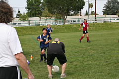 IMG_8173.jpg
