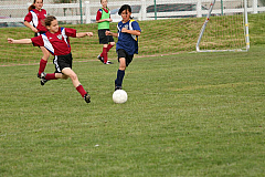 IMG_8212.jpg