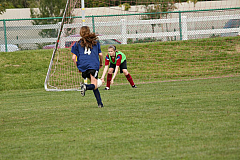 IMG_8244.jpg