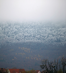 Wintereinbruch in Mössingen