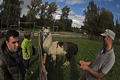 IMG 1765
