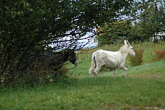 DSC 3261