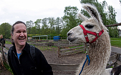 Alb-Lamas