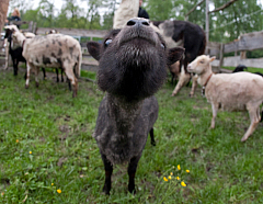 IMG 7207