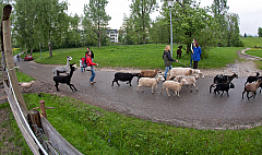 IMG 7212