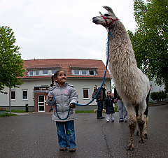 IMG 7245