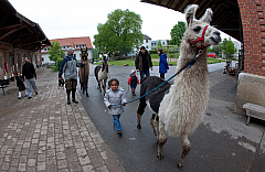 IMG 7263