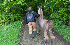 IMG 7309