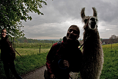 IMG 7312