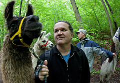 IMG 7352