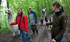 IMG 7369