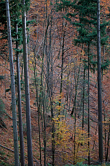 IMG 8885