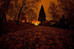IMG 8851
