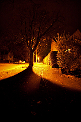 IMG 8863