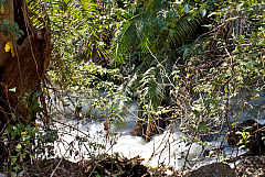 IMG 8262
