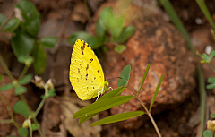 2011-01-08 11-29-31 IMG 6143