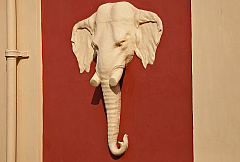 2011-01-03 09-25-15 IMG 3866