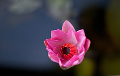 2011-01-03 06-55-38 IMG 3287