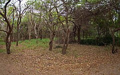 2011-01-02 17-11-53 IMG 0444