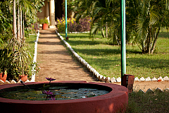 2011-01-03 08-57-43 IMG 3746