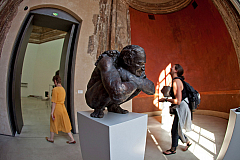 IMG 5461
