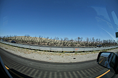 IMG_0163.jpg