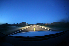 IMG_0393.jpg