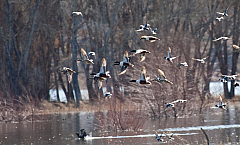 IMG_0560.jpg