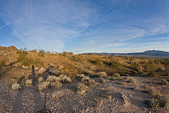 IMG_0945.jpg