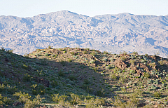 IMG_1423.jpg