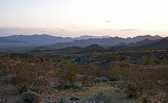 IMG_1753.jpg