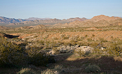 IMG_1817.jpg