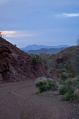 IMG_2915.jpg