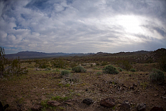 IMG_2991.jpg