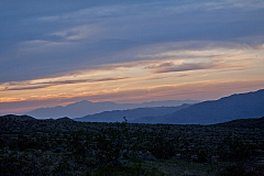 IMG_2919.jpg