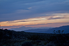 IMG_2921.jpg
