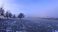 IMG_9578