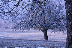 IMG_9628