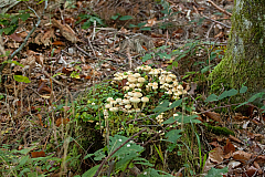 20111016100705 0883