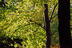 20111016104022 0908