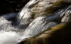IMG 7506